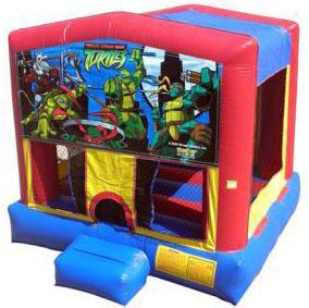 Teenage Mutant Ninja Turtles Bouncer